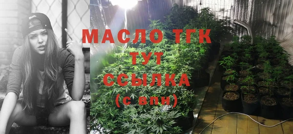 герыч Мегион